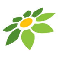 LINK SLOT29
